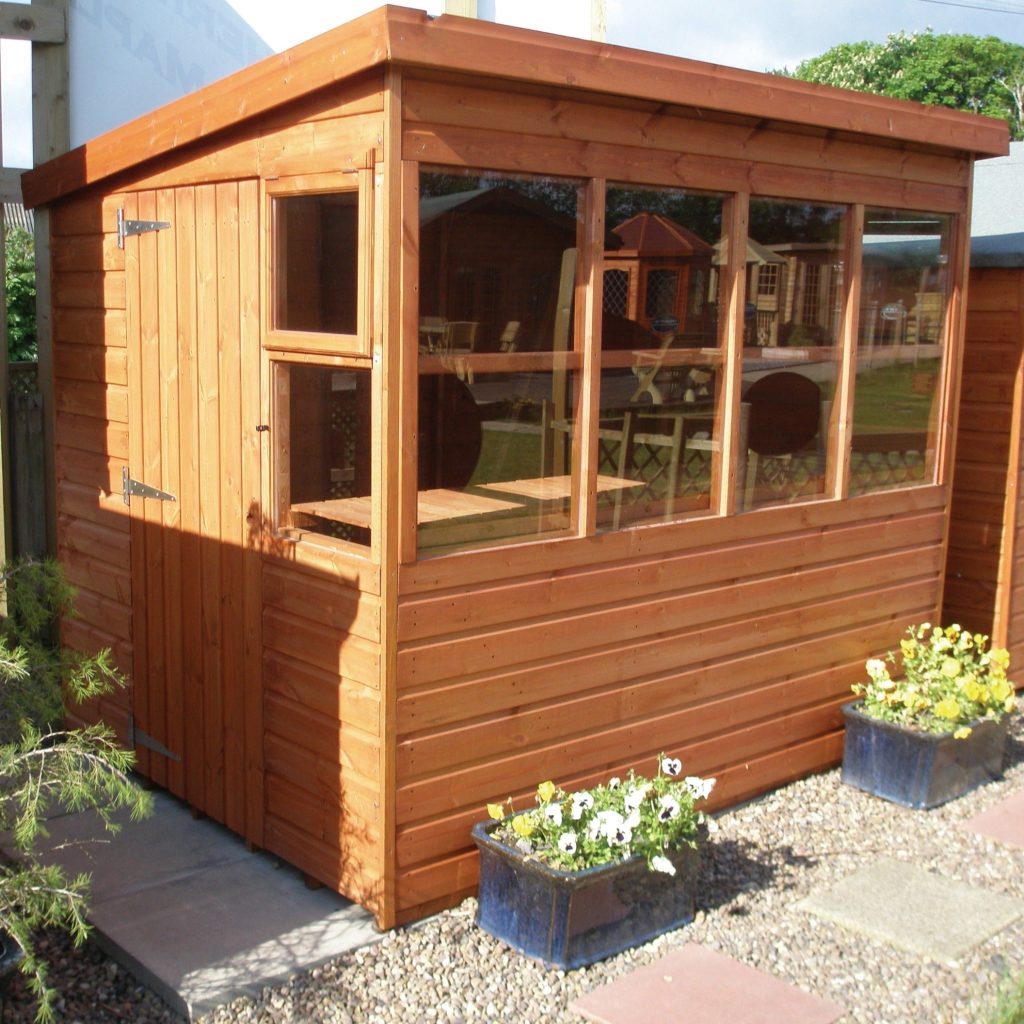 Sunflower – TGB Potting Shed